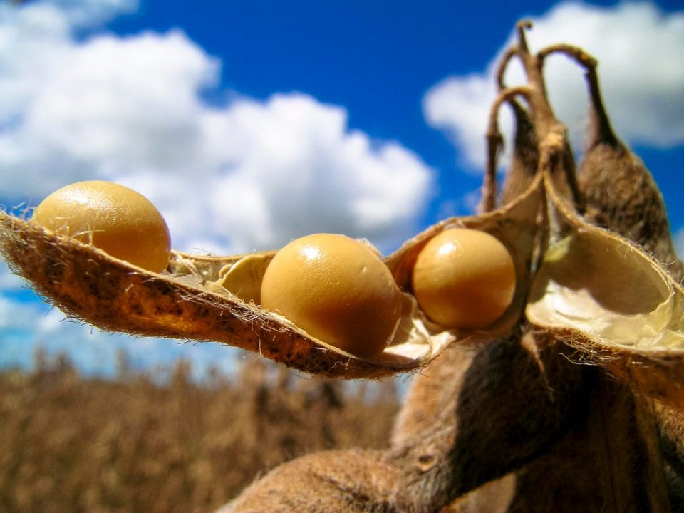 Crédito rural: uma visão geral