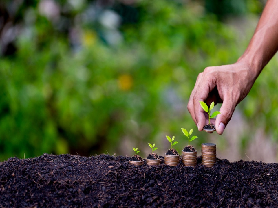 Guerra e Fertilizantes